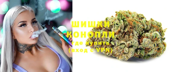 spice Елизово