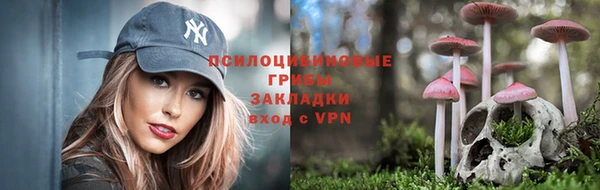 винт Елабуга