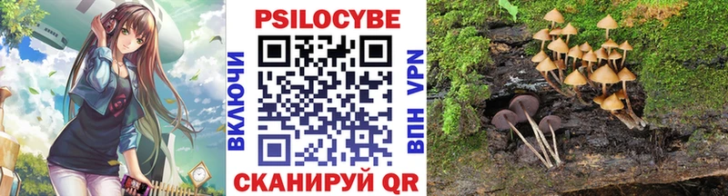 Псилоцибиновые грибы Cubensis  Саянск 