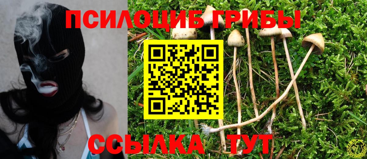 Псилоцибиновые грибы прущие грибы  Вход с VPN  Саянск  Псилоцибиновые грибы ЛСД 